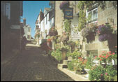 Feng Shui can bring nature to the city. The plants soften the stone's angles, the colors uplift the chi or life force.